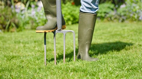 how to aerate a lawn